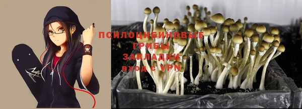 амфетамин Алексин