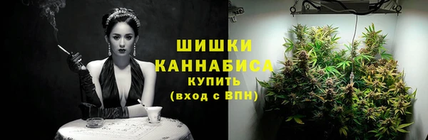шишки Алексеевка