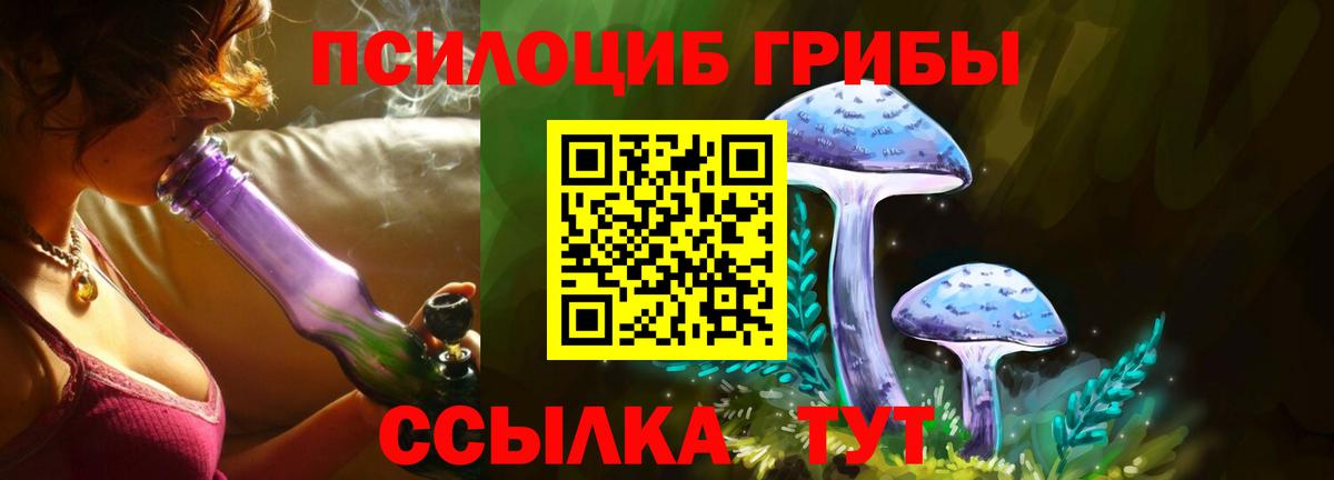 Галлюциногенные грибы прущие грибы Чайковский