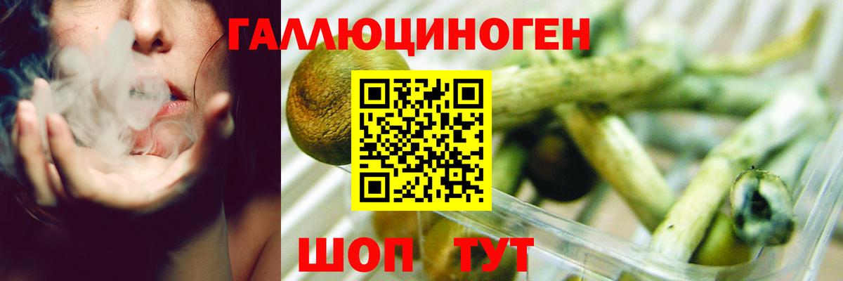 Галлюциногенные грибы ЛСД  Вход с VPN  Чайковский 